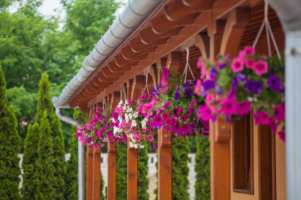 Csalanosi Vendeghaz Hotel Kecskemet Ngoại thất bức ảnh